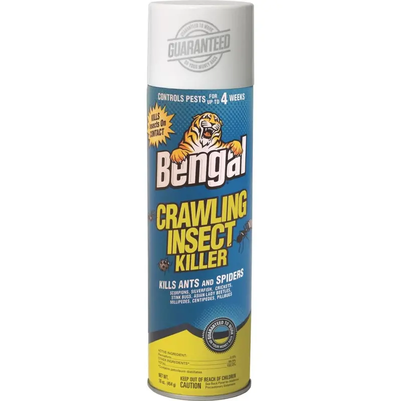 Bengal Crawling Insect Killer – 16 Oz Aerosol Spray 1