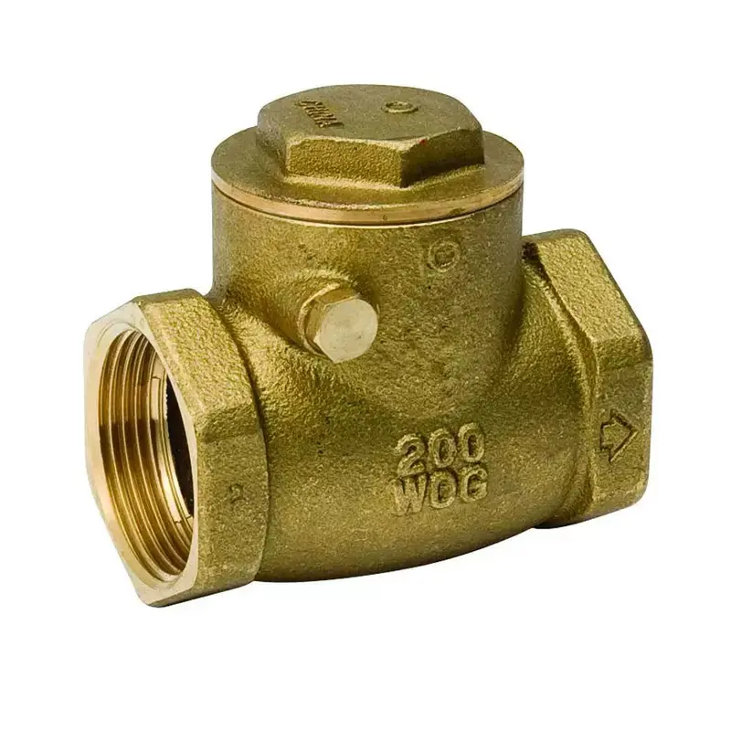 B&K 1/2-Inch Swing Check Valve For Plumbing Systems 1