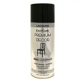 Black Premium Decor Gloss Lacquer Finish – 12 Oz Can 1