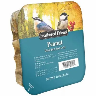 Feathered Friend Peanut Suet Block – All-Natural Wild Bird Attractant Food 1