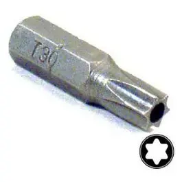 Isomax T30 Security Torx Insert Bit – 1-Inch Tee*Star Driver 1