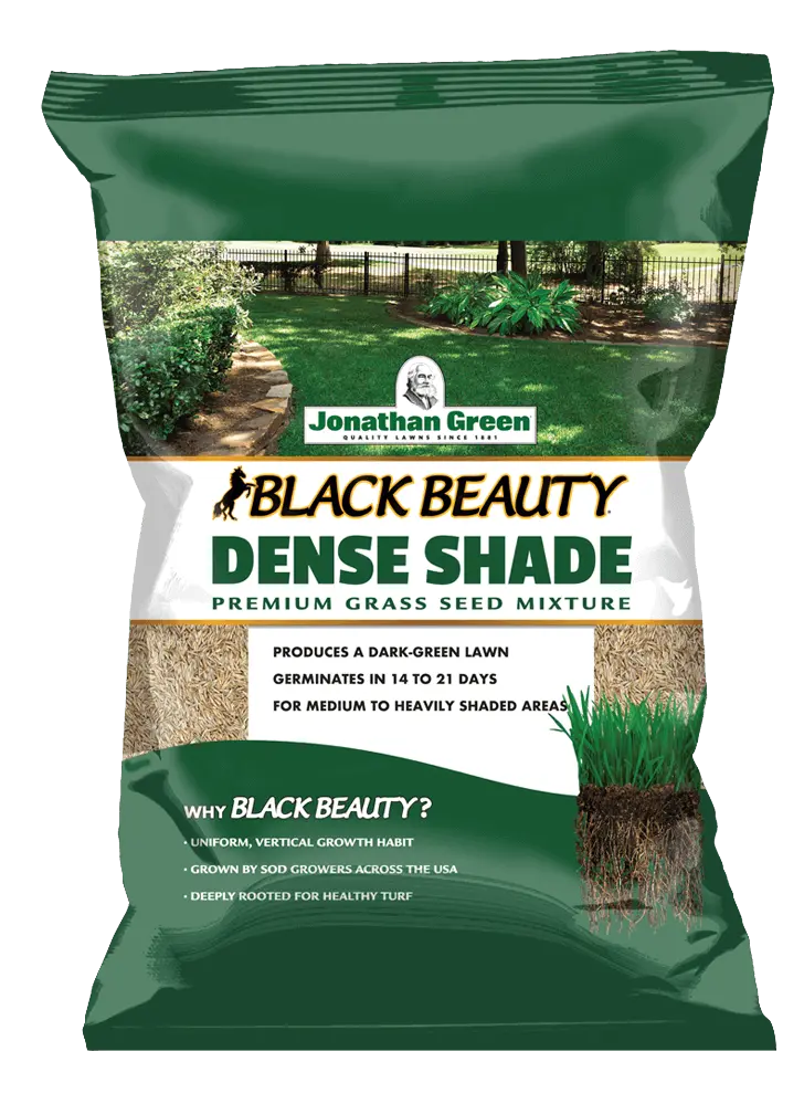 Jonathan Green Black Beauty® Dense Shade Grass Seed – Premium Cool-Season Blend 1