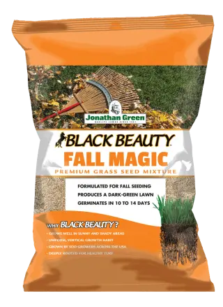 Jonathan Green Black Beauty Fall Magic Grass Seed – Premium Cool-Season Turf Blend 1