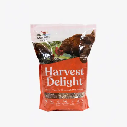 Manna Pro Harvest Delight Poultry Treats For Chickens And Turkeys 1