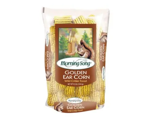 Morning Song Golden Ear Corn Wildlife Food For Squirrels And Small Animals 1