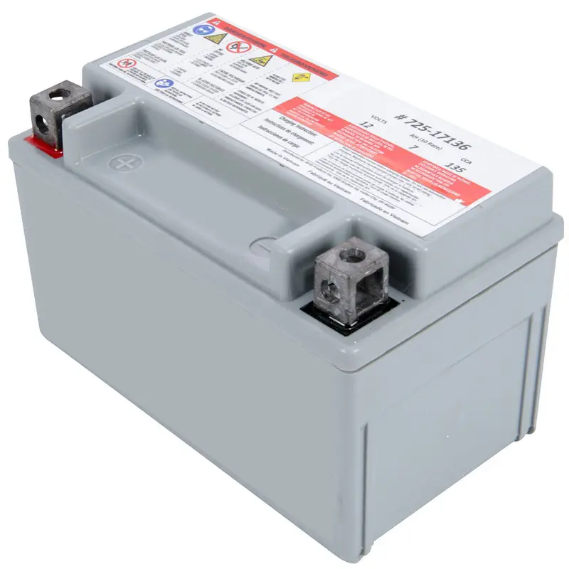 Mtd Genuine Agm Battery – 12-Volt, 135 Cca Replacement For Lawn Equipment 1