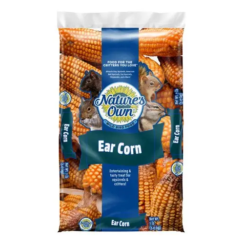 Nature'S Own Dried Ear Corn Decorative Bundle 1