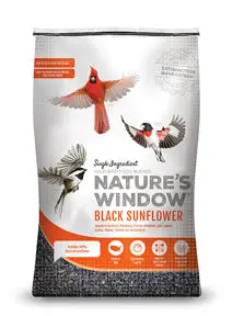 Nature'S Window Black Oil Sunflower Seeds – 100% Pure Wild Bird Feed 1
