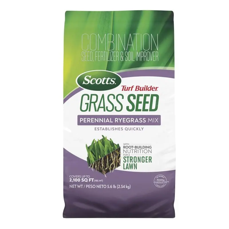 Scotts Turf Builder Perennial Ryegrass Grass Seed – 5.6 Lb Bag 1