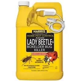 Targeted Insecticide For Asian Lady Beetles & Box Elder Bugs – Ready-To-Use 1-Gallon Formula 1