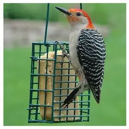 Wild Bird Suet Feeder Cage For Hanging 1