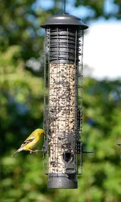 Woodlink Large Dragonfly-Themed Tube Bird Feeder 1